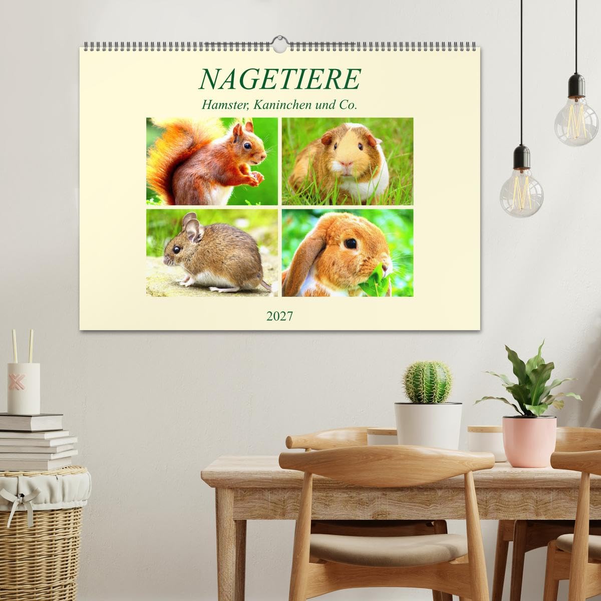 CALVENDO - Nagetiere. Hamster, Kaninchen und Co. (Wandkalender 2027 DIN A2 quer), Monatskalender: Hübsche Exemplare aus der großen Familie der Nagetiere