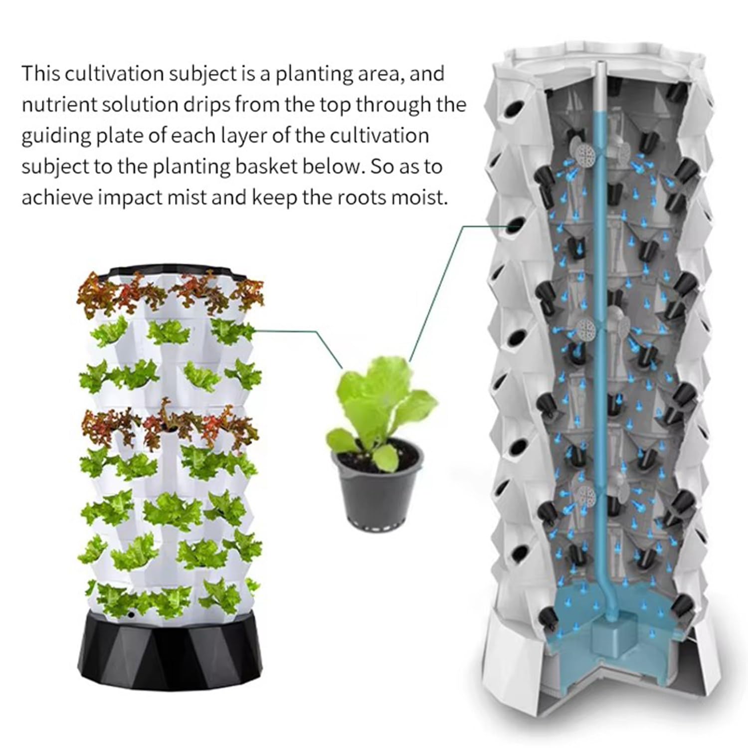 Sistema de cultivo hidropónico, kit de jardinería vertical para interiores con bomba y tanque de agua para verduras y frutas de hoja - Opciones de 6/8/10 capas disponibles