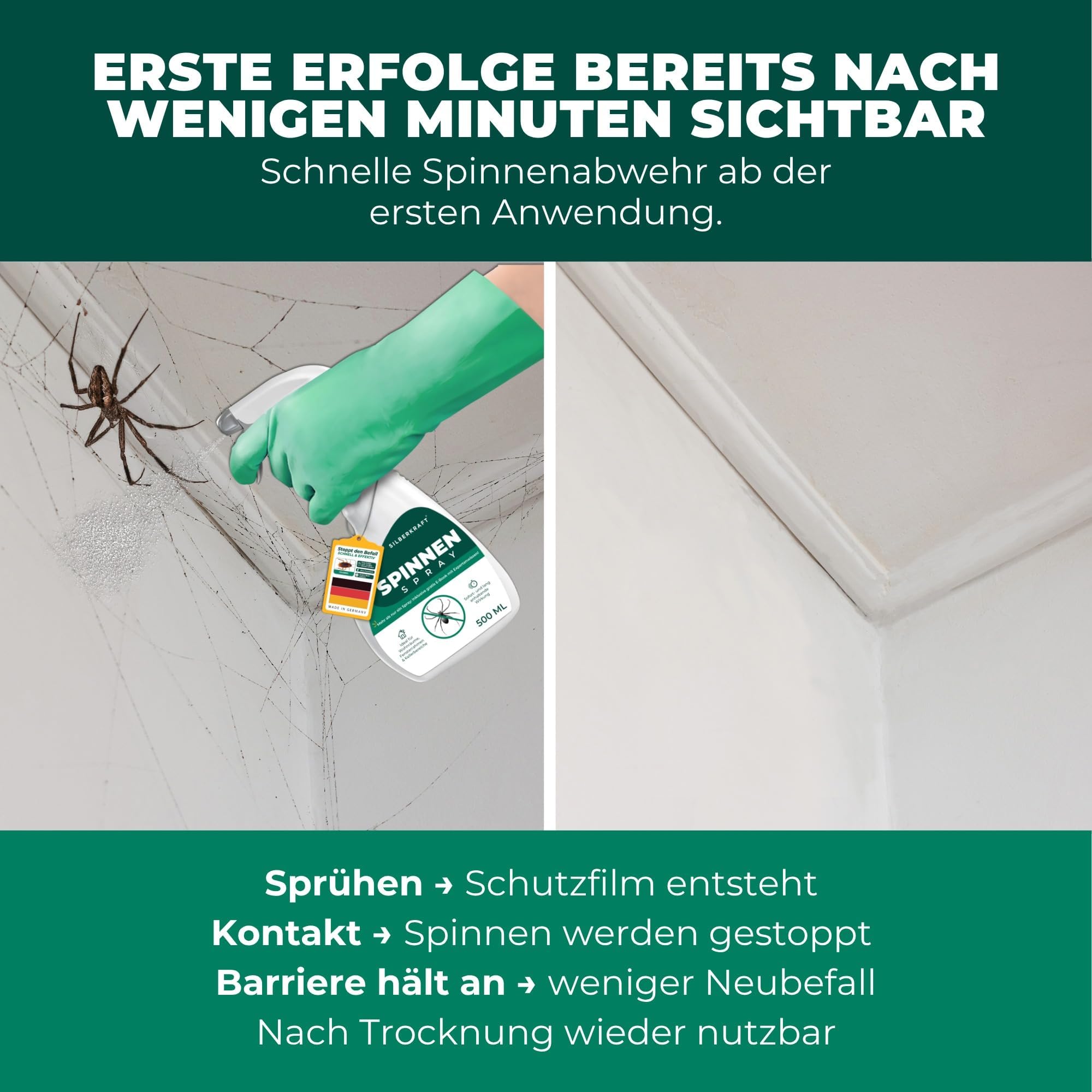 Silberkraft Spinnenspray 500 ml - Hochwirksames Spinnenabwehr-Mittel mit Sofortwirkung gegen Spinnen - Anti-Spinnenspray für Innen & Außen - Spinnen dauerhaft vertreiben - laborgeprüft