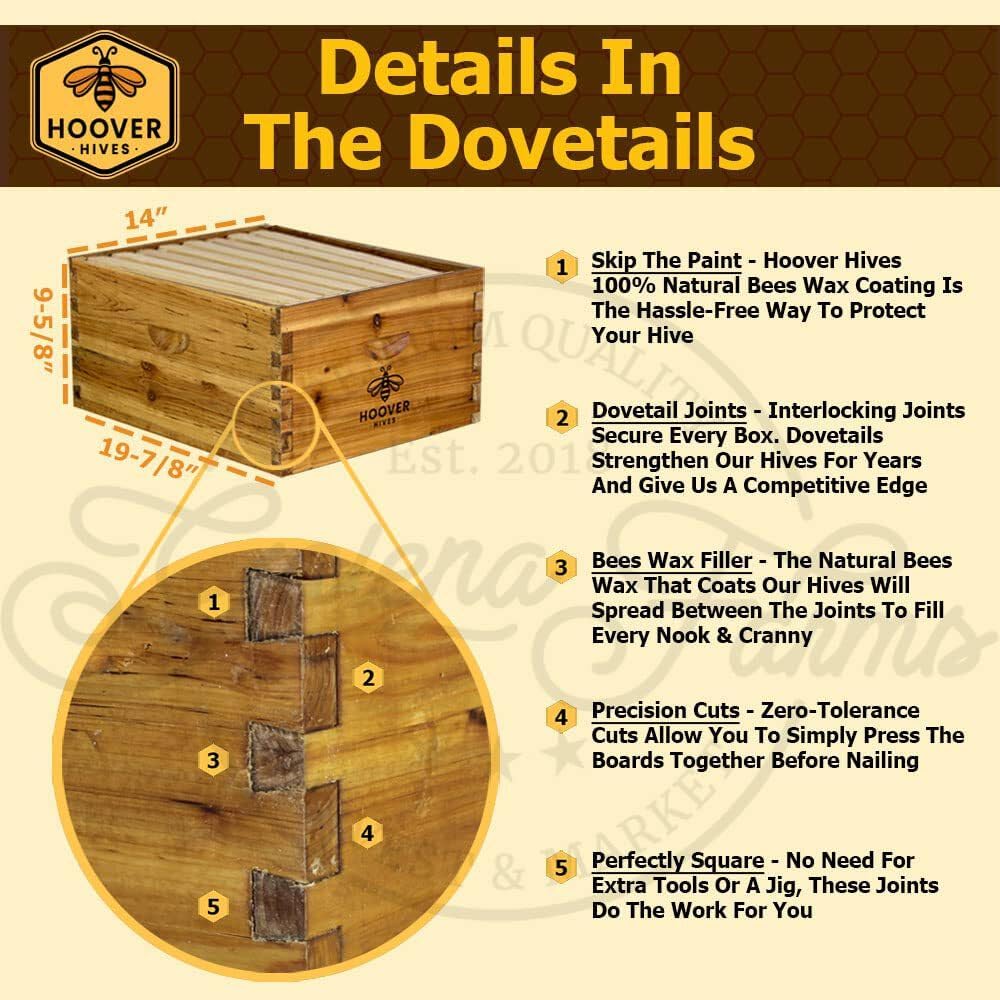 Hoover Hives Complete 8-Frame Beehive Kit – Wax-Coated Fir Wood, Includes 2 Deep Brood Boxes, 1 Medium Super, Langstroth Frames & CellTech Foundations – Durable, Weather-Resistant Beekeeping Supplies - Image 9