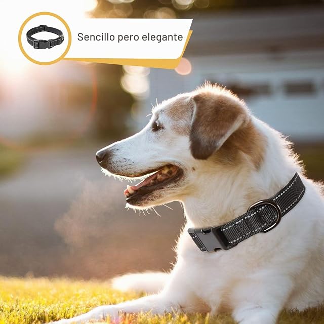 Foto 7 de 7 de HEELE Collar Perro, Collar Nylon Reflectante Neopreno Forrado Ajustable para Perro Pequeño, Negro, S