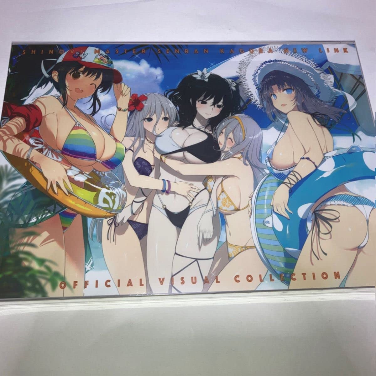 Amazon.co.jp: 閃乱カグラ 閃乱カグラTEN シノビマスター 画集