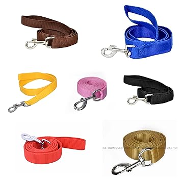 Younique Merchandise Fancy Export Quality Nylon Everyday Dog Leash (X-Large, Beige)