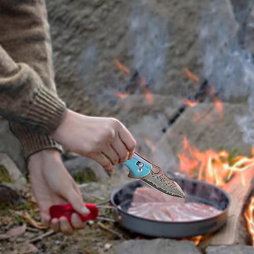 Miniatura 7 de ALBATROSS Cool Flipper Axis Lock - Cuchillo de bolsillo plegable de apertura con hoja de acero de Damasco moderna de 3 pulgadas y mango FRN de alta