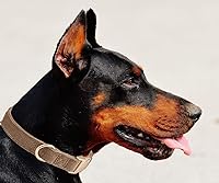 Vista 143 de Collar de Algodón Suave para Perro con Hebilla de Metal Ajustable de Servicio Pesado Cómodo Collares de Pana para Perros Pequeños, Medianos