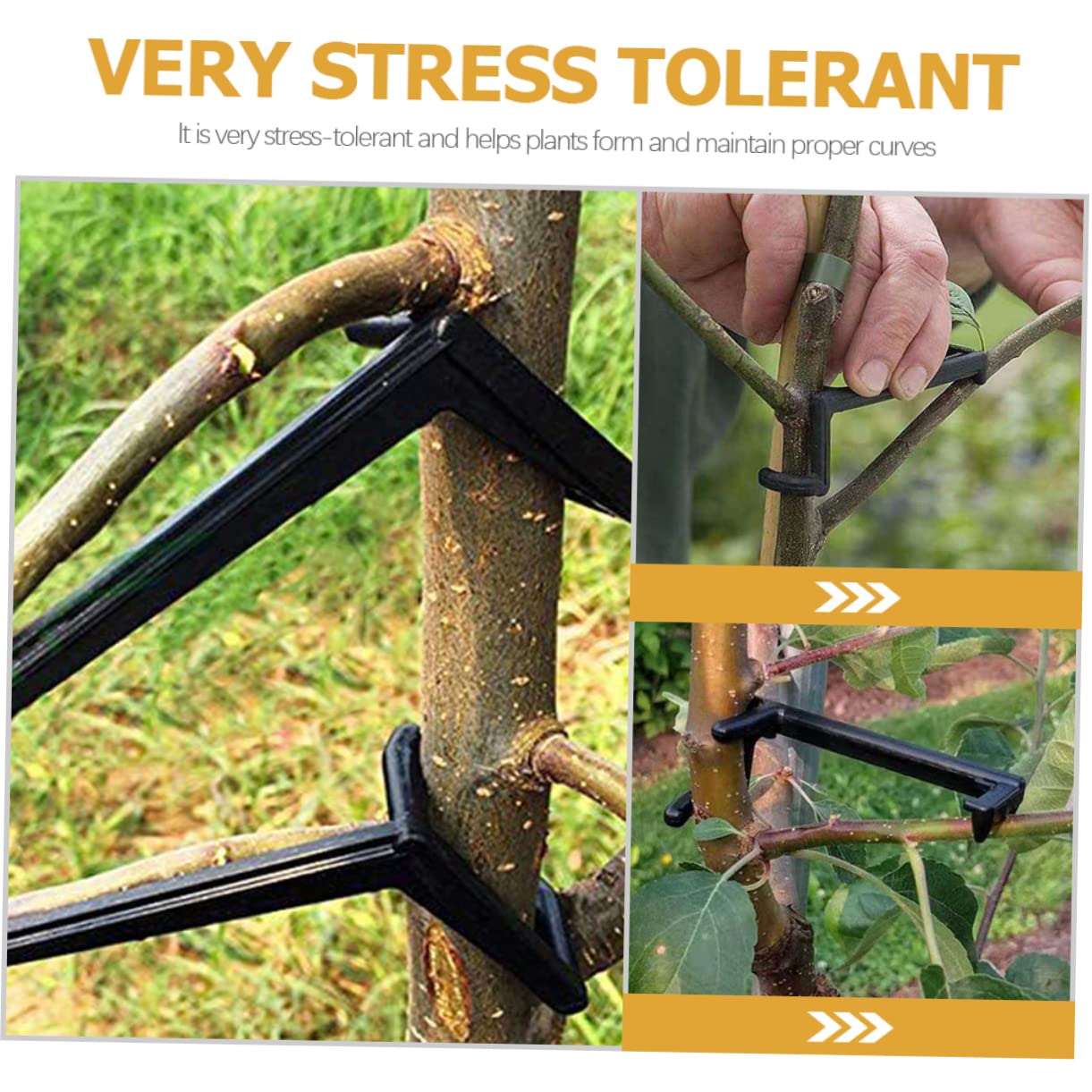 TOYANDONA 5 Sätze Teiliges Pflanzen Trainer Clips Verstellbare Zweig Klammern Für Pflanzen Hochwertige Pe Material Für Indoor Und Outdoor Nutzung Unterstützt Erhöht Die Blührate 10 Stück * 5
