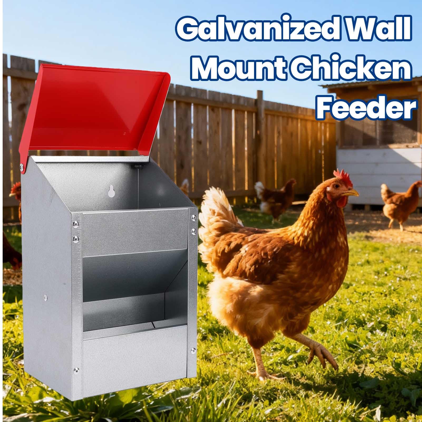 Naroote Comedero para Pollos Galvanizado para Cocina Al Aire Libre, Capacidad de 10 Libras |Comedero para Aves de Corral Resistente a la Intemperie, Montaje en Pared, sin Desperdicio, Galvanizado y