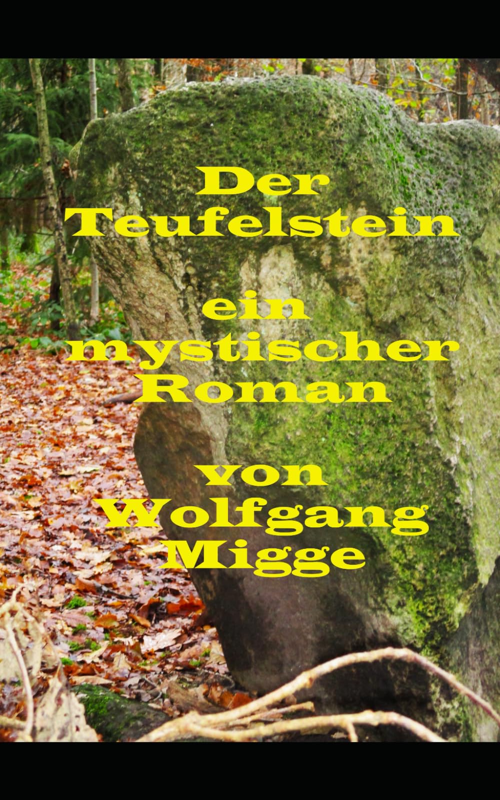 Der Teufelsstein: ein mystischer Roman