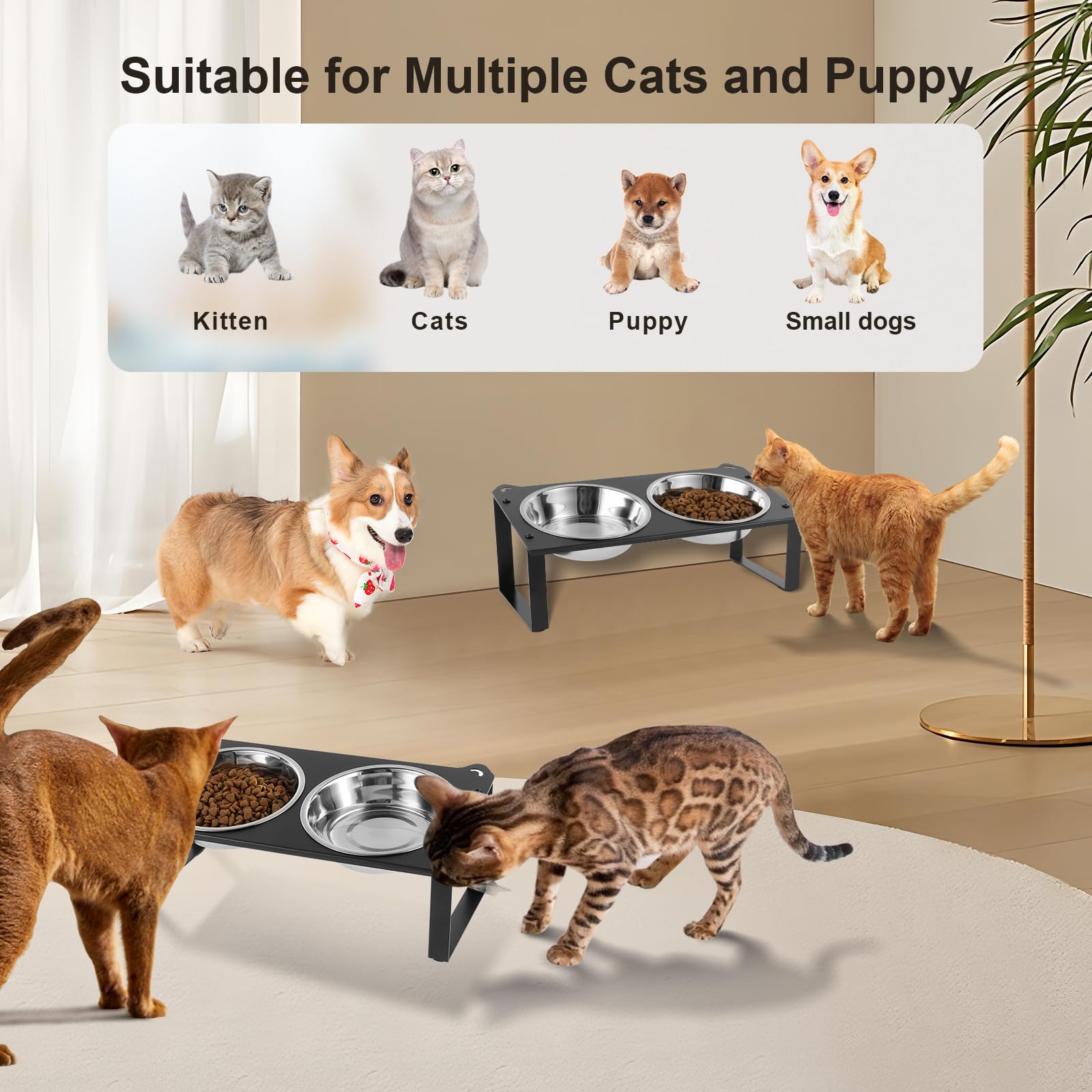 Set di 2 ciotole rialzate per cibo per gatti, 4 ciotole in acciaio inox per animali domestici da interni con simpatico supporto in metallo, inclinate a 10°, anti-vomito, larghe, poco profonde,