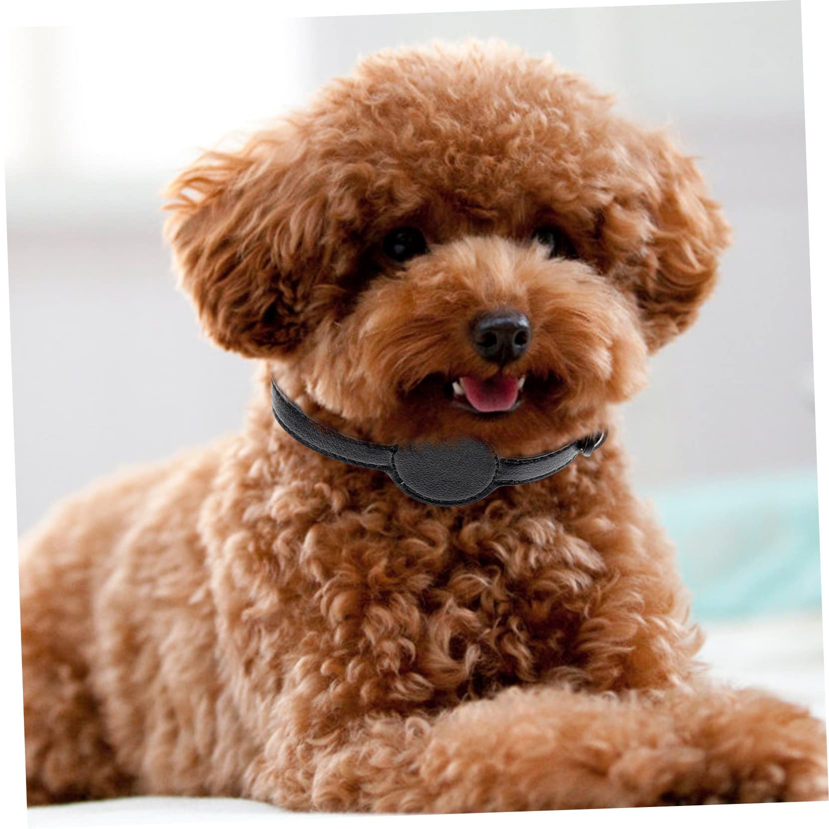 YARNOW 5piezas Collar De Protección para Gatos Diseño De Collar Paseos Material PU