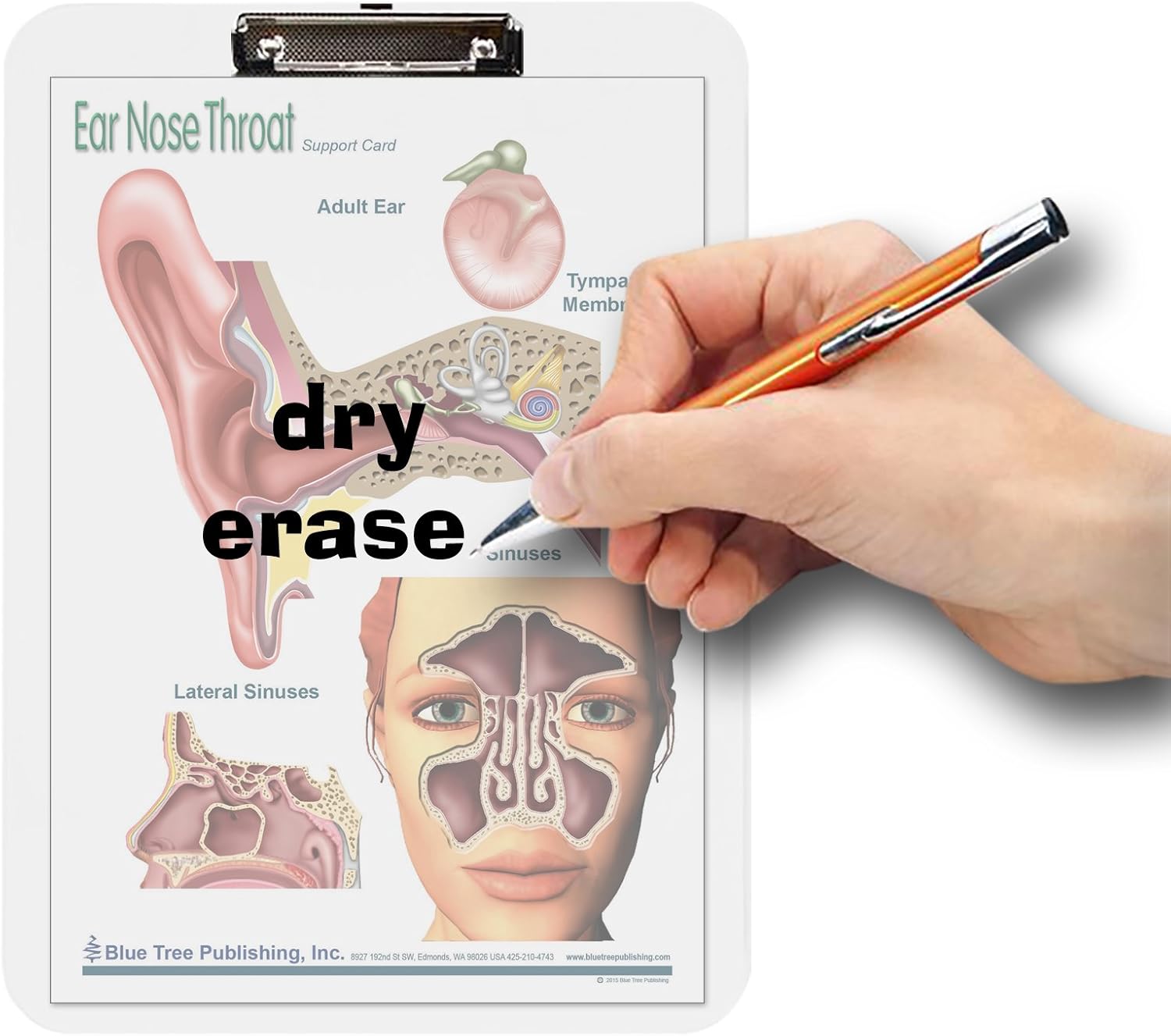 Ear Nose and Throat Insert Clipboard