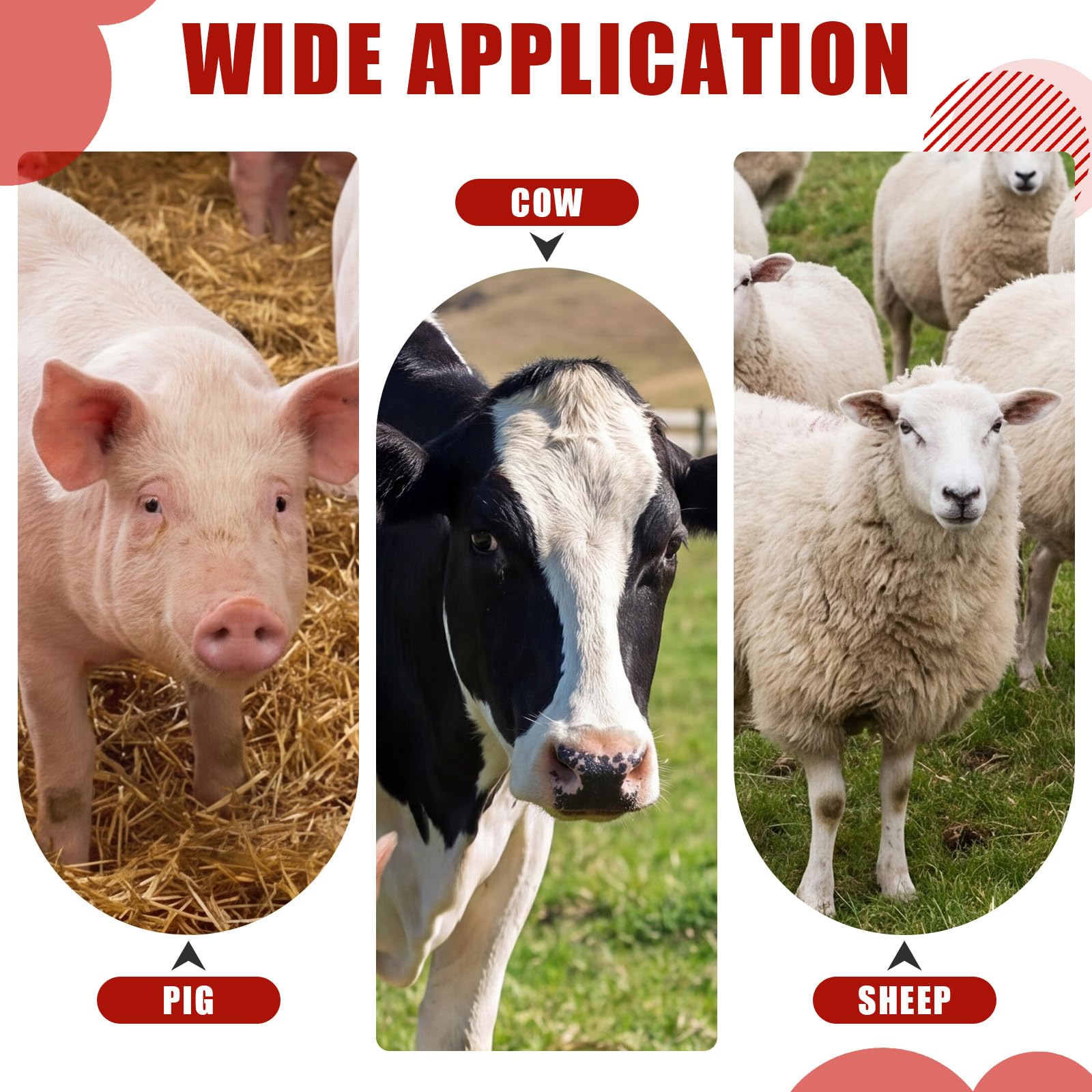 3 juegos de biberones para terneros con tetinas de silicona de repuesto, olla de alimentación de leche duradera con asa para pantorrillas, suministros de lactancia para ganado (2 L)