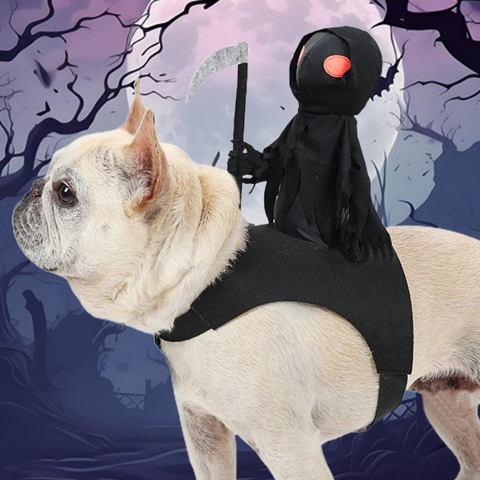 Halloween Hundekostüm Ritter - Gruselige Verkleidung Für Haustiere