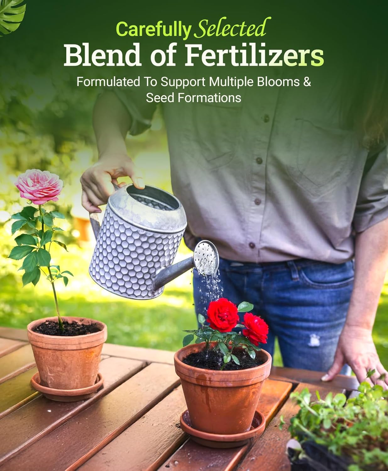 Fox Farm Big Bloom Liquid Plant Food - Organic Bloom Fertilizer for Flowering & Fruiting Plants, Contains Earthworm Castings & Bat Guano - Supports All Stages of Plant Growth - 0-0.5-0.7 NPK, 1Gallon