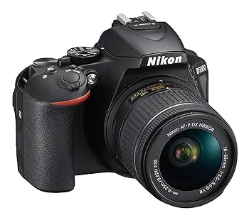 Amazon Canada: NIKON D5600 2 Lens kit (D5600 Body + AF-P 18