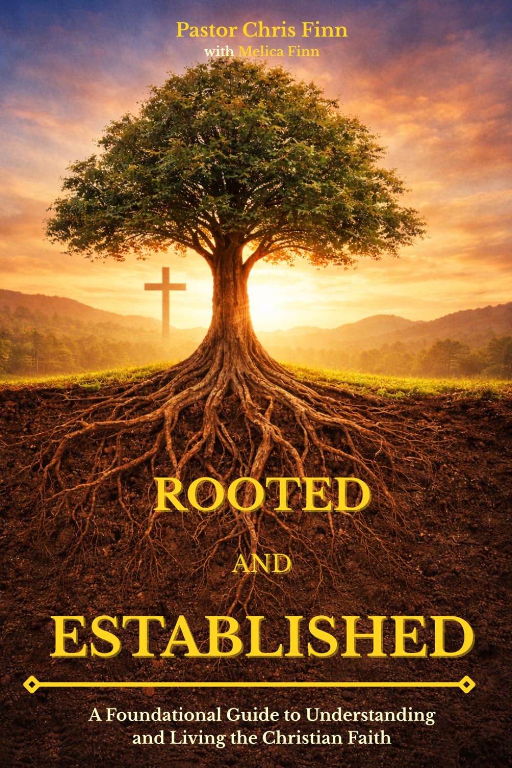 Rooted and Established: A Foundational Guide to Understanding and Living the Christian Faith