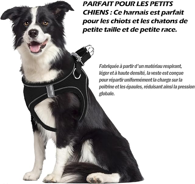 Foto 4 de 6 de Arnes Perro Pequeño,Arnés Perro Pequeño,Arnés Antitirones para Perros,Arnes para Perros(Negro,M)