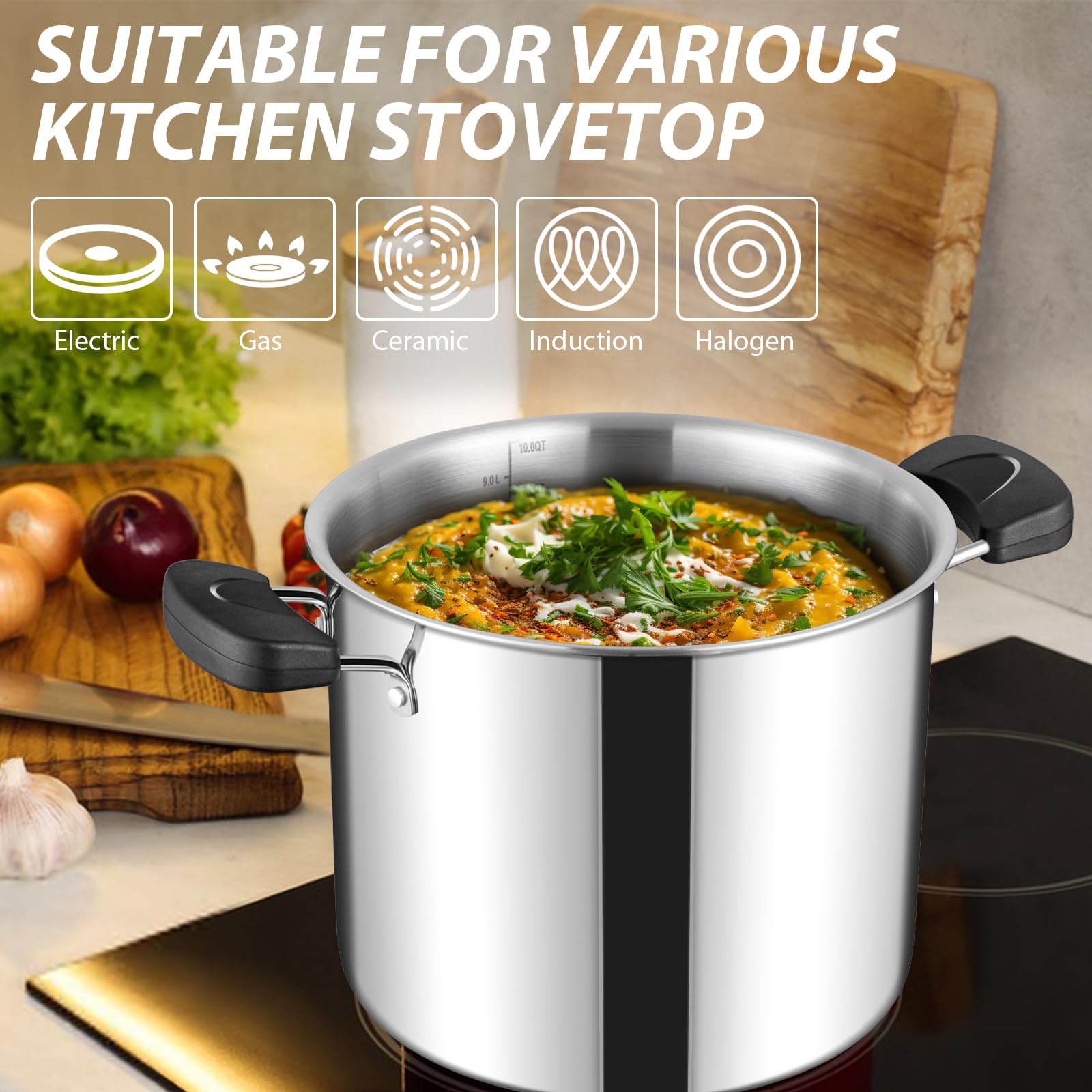 HaWare Olla grande de acero inoxidable de tres capas de 10 L y 25,5 cm para cocinar pasta y sopa de sopa, apta para inducción/electricidad/gas/cerámica, mango resistente al calor y tapa transparente,
