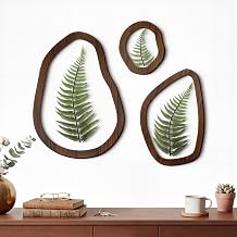 Lineshading Pressed Fern Wall Decor Set of 3, Irregular Wooden Frame with Preserved Ferns Double Glass, Rustic Botanical Wall Art for Bedroom Living Room Office, Housewarming Gift