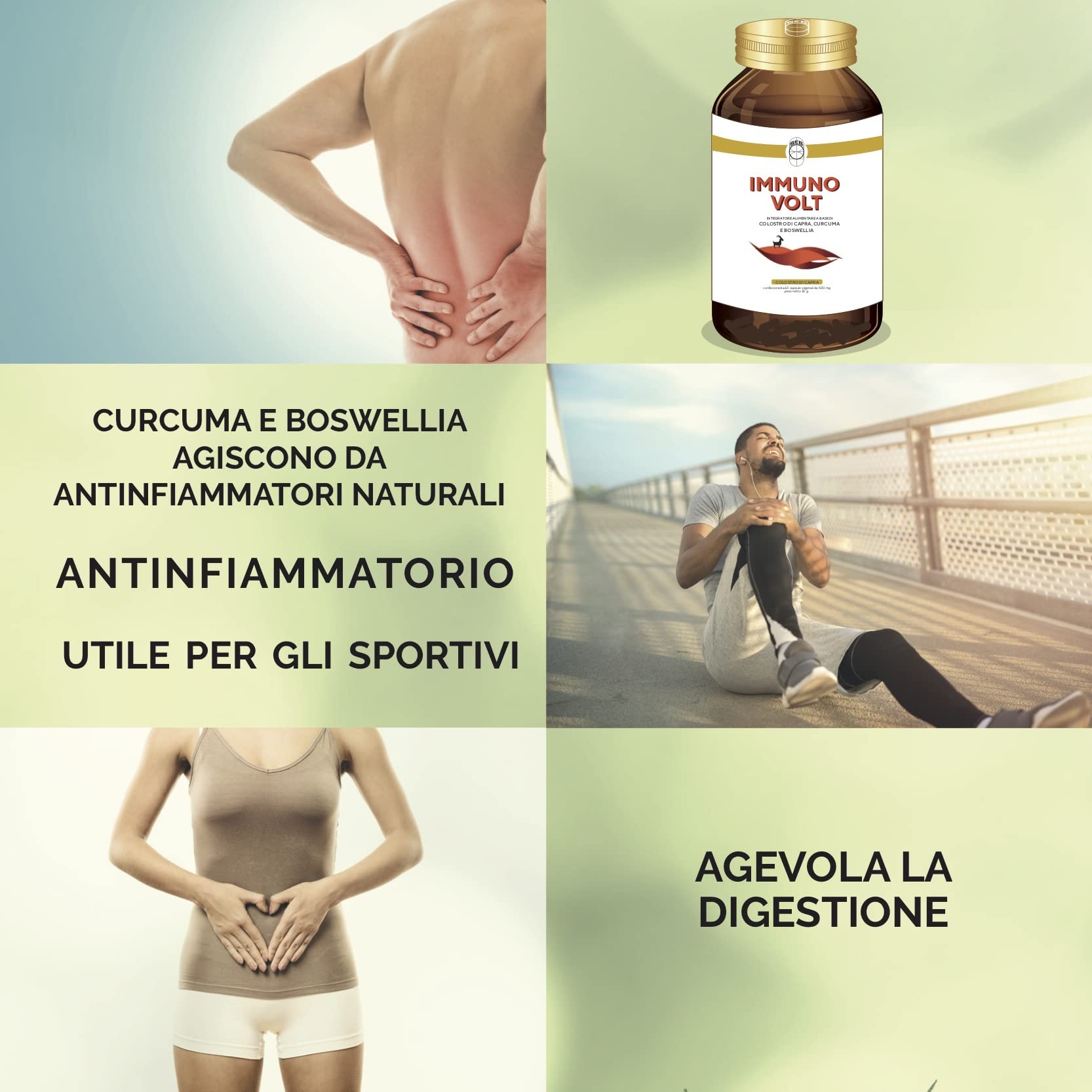 SEB Immuno Volt - Integratore alimentare naturale per il sostegno della funzionalità articolare. A base di Colostro di Capra, Lattoferrina, Curcuma, Boswellia ed enzimi