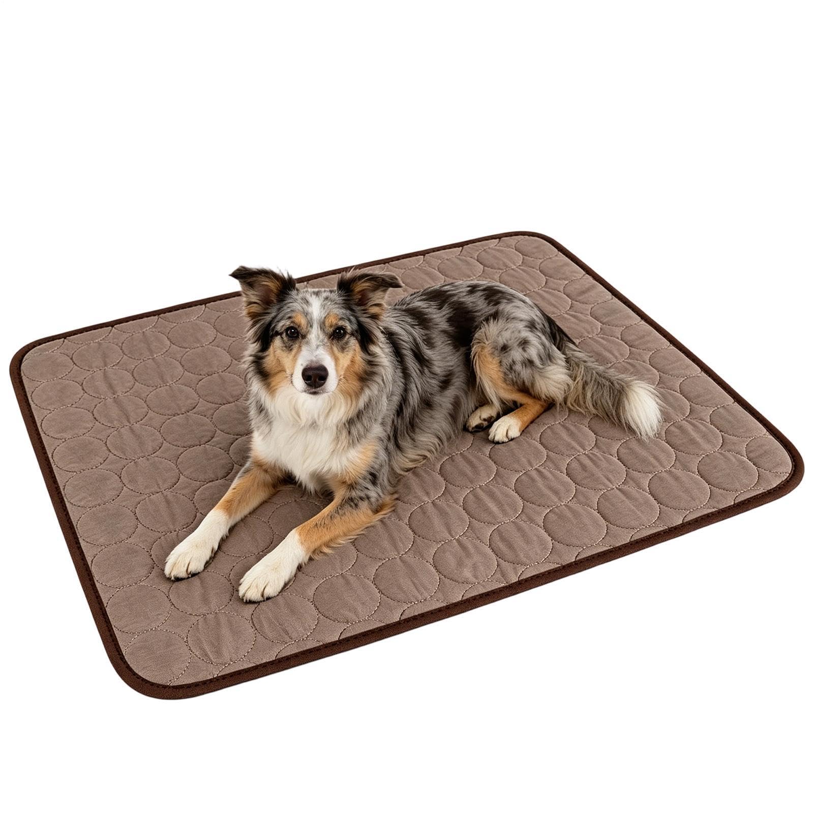 Tappetino Rinfrescante Per Cani Lavabile Traspirante Portatile Seta | Materassino Rinfrescante Per Cani Da Interno Adatto A Pavimento Trasportino Auto Canile , Razze Piccole Medie E Grand