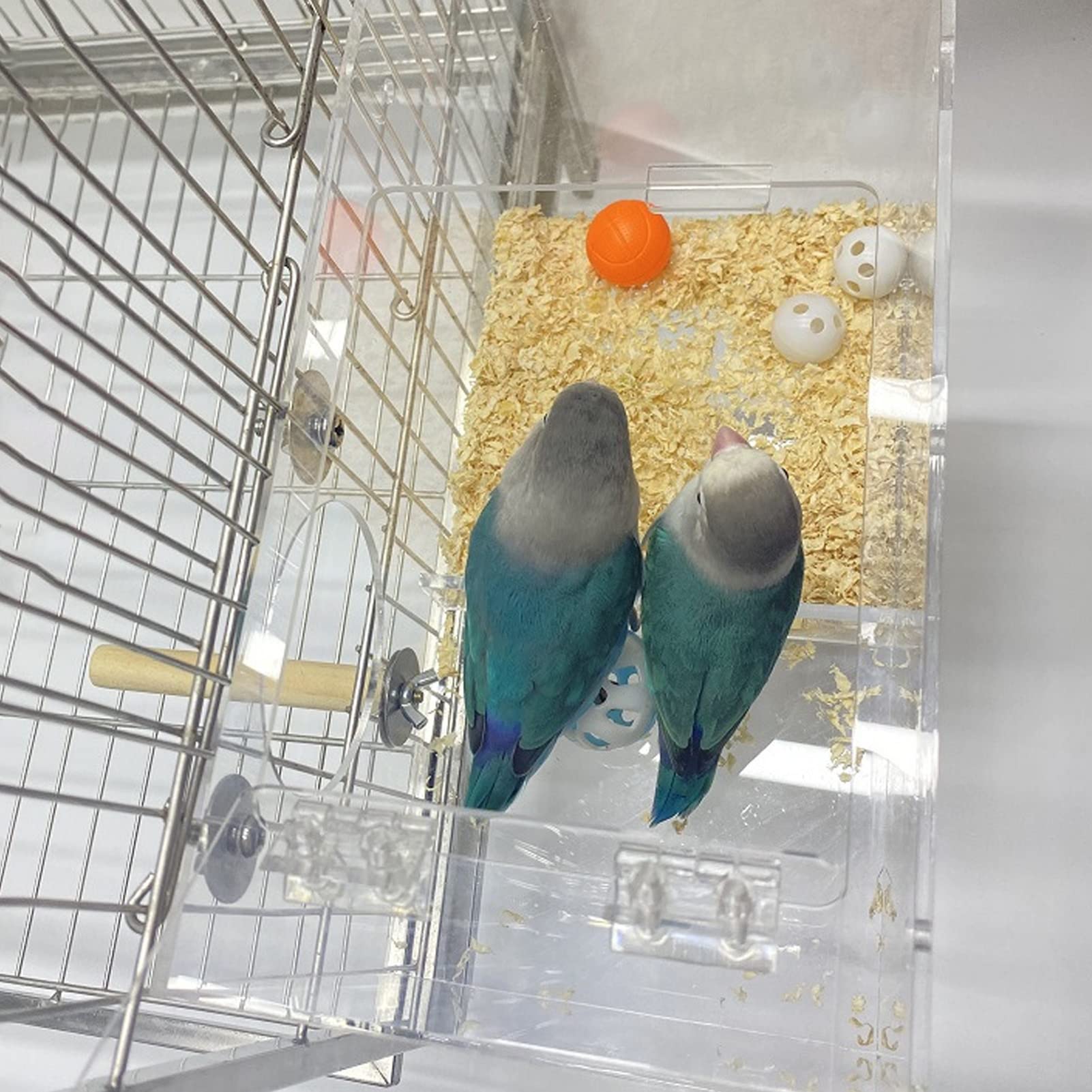 Caja acrílica para cría de pájaros, Caja Nido Transparente para Loros con Poste y Acolchado, Material no Seguro, fomenta comportamientos Naturales de anidación para pájaros (Grande 35,83x15,75
