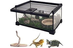 Hamiledyi Mini Glass Terrarium for Reptiles: Reptile's Luxurious Haven