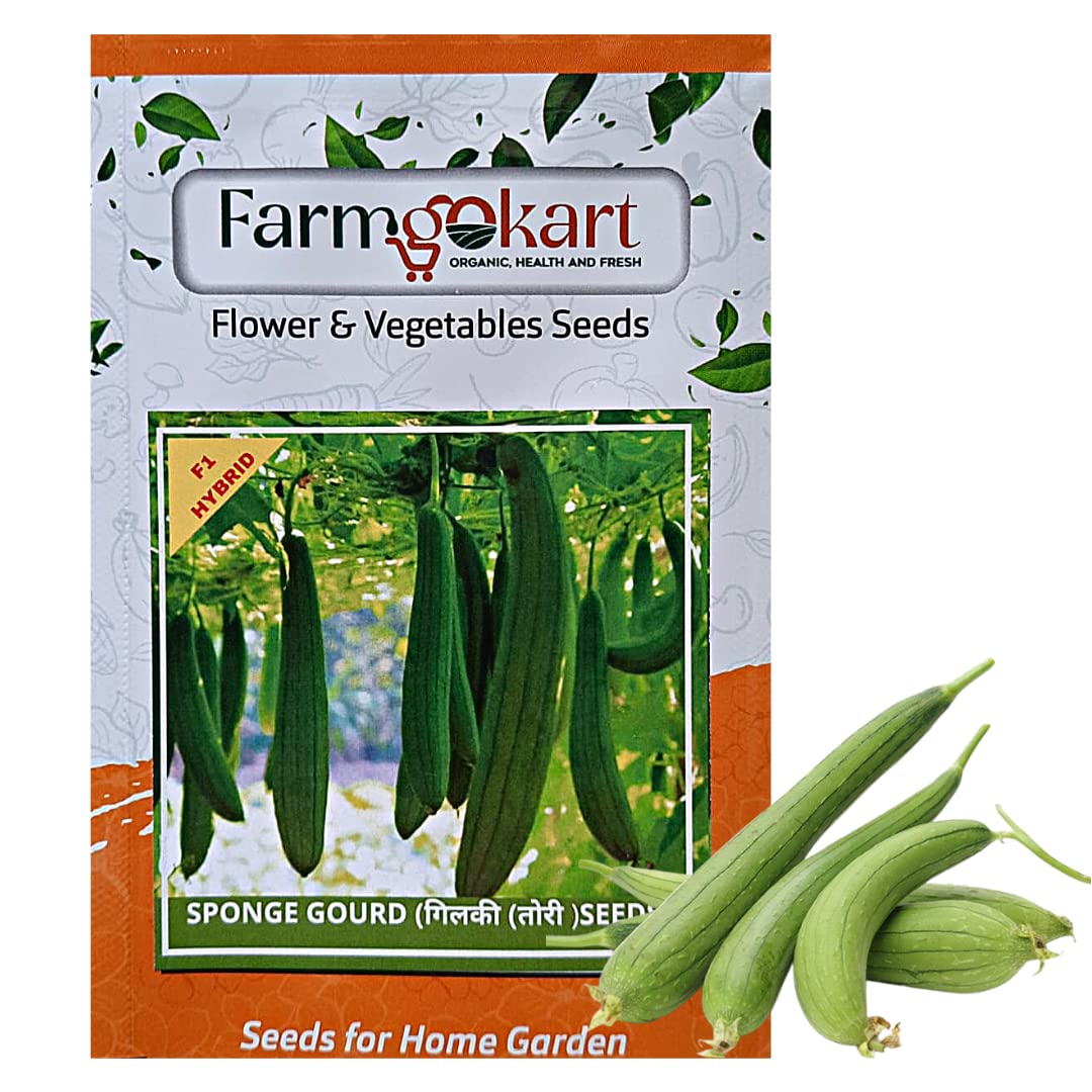 FARMGOKART 5 Gms SPONGE GOURD (CHIKNI TORU/GILKI) HYBRID F1 SEEDS, Vegetable Seeds for Home Gardening, Farming, Hydroponics and Poly Houses (B0BTYNH5ZK) Amazon Price History, Amazon Price Tracker