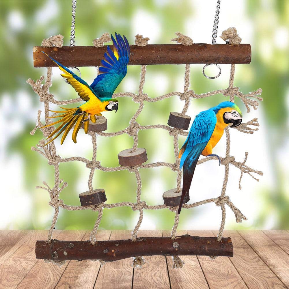 Bird Swings, hamac avec échelle en Bois avec 2 Crochets et Corde tissée pour perroquets, perruches, perruches, Cockatiels, Conures, aras, tourtereaux, pinsons grimpant