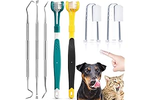 7 Pieces Dog Teeth Cleaning Kit: Dental Tools for Immaculate Canine Smiles