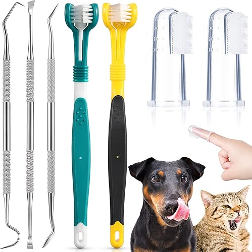 Kit de limpieza de dientes de perro de 7 piezas, incluye raspador de dientes dentales y raspador de acero inoxidable, raspador de 3 cabezas, cepillo