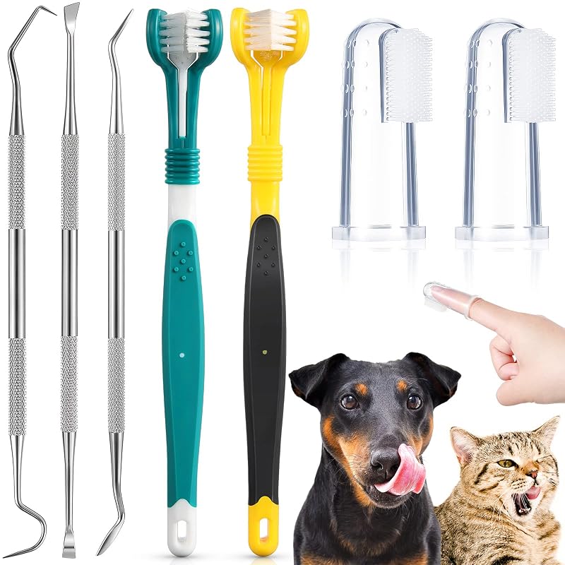 Kit de Higiene Bucal para Cães CHENGU com Escovas de Silicone e Raspadores, 7 Peças