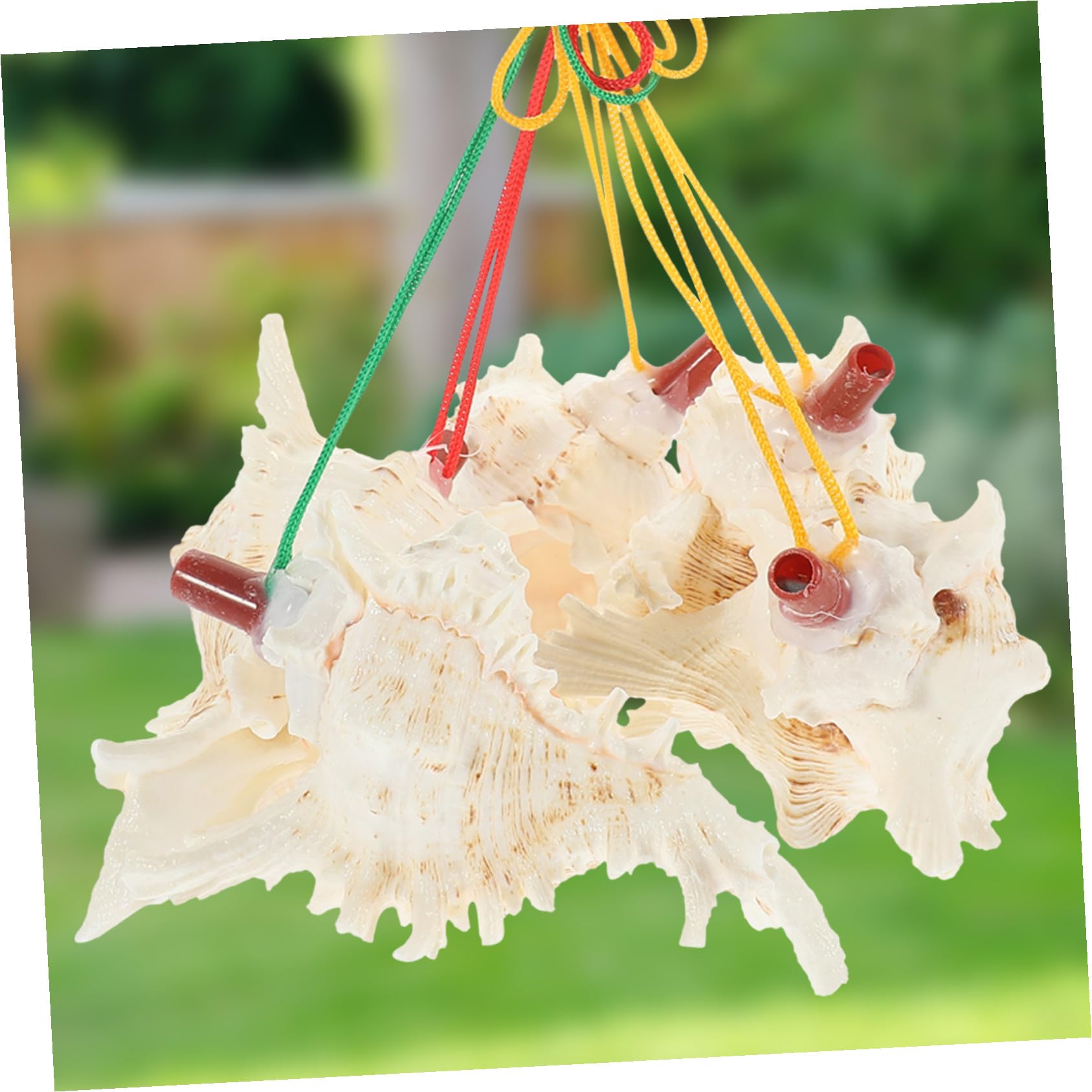 PLAFOPE Colgante de Silbato de Caracola para Niños Borde Suave y Delicado, 10 Piezas de Conchas Auténticas para Celebraciones y Ocasiones Obsequios