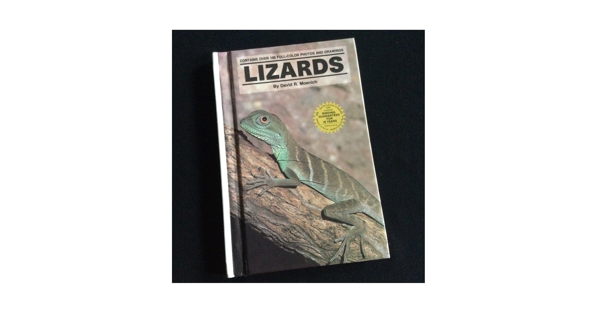 爬虫類 トカゲの生態学 参考書「Lizard Ecology」 爬虫類 トカゲの生態学 参考書「Lizard Ecology」 爬虫類 トカゲ