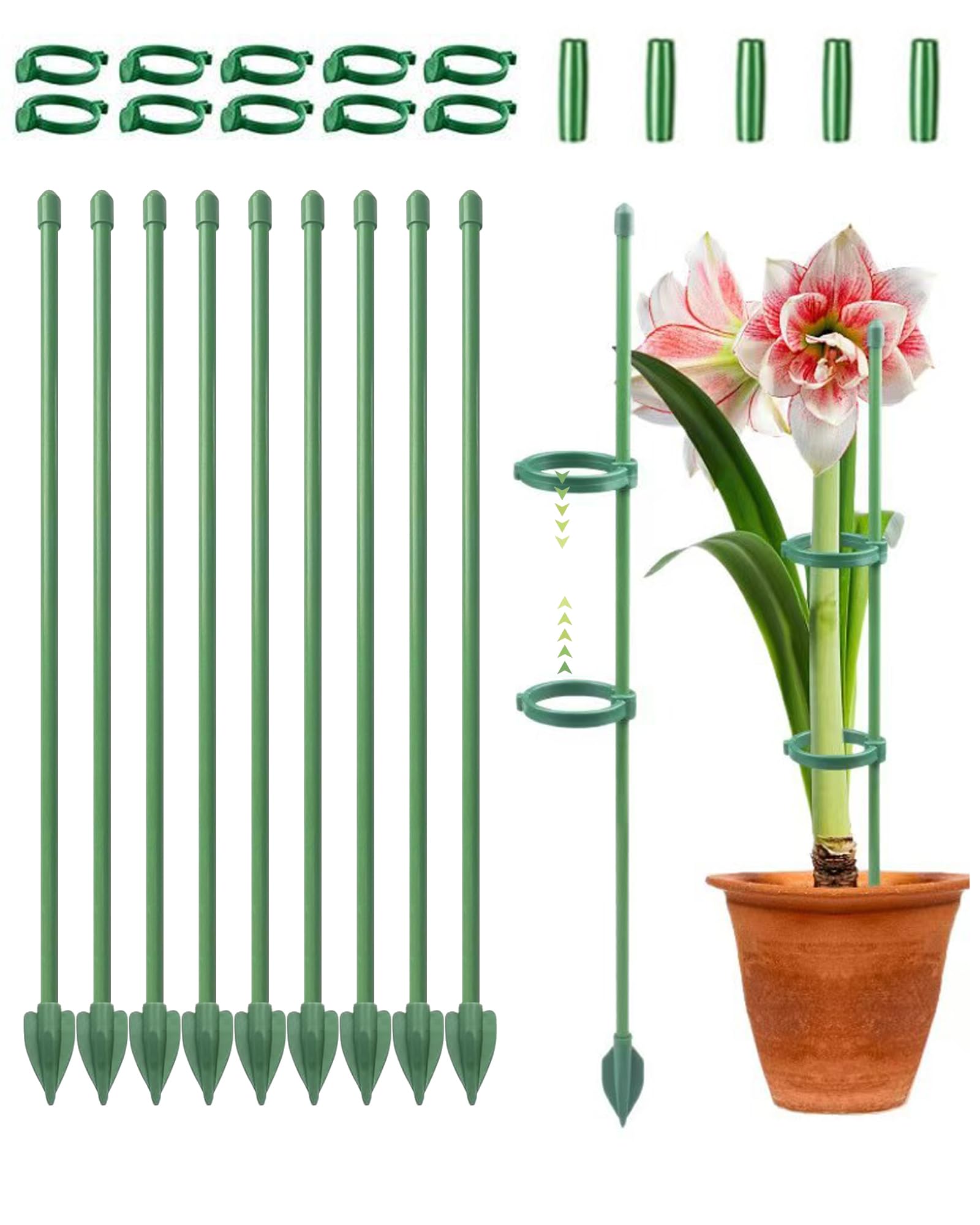 WLHFDC Plant Supports for Indoor Plants,30cm Plant Stakes Support,Orchid Sticks and Clips,Adjustable Monstera Support for Orchid Rose Flower Tomatos(10 PCS,Green)