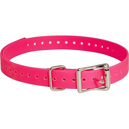 sportdog replacement collar strap