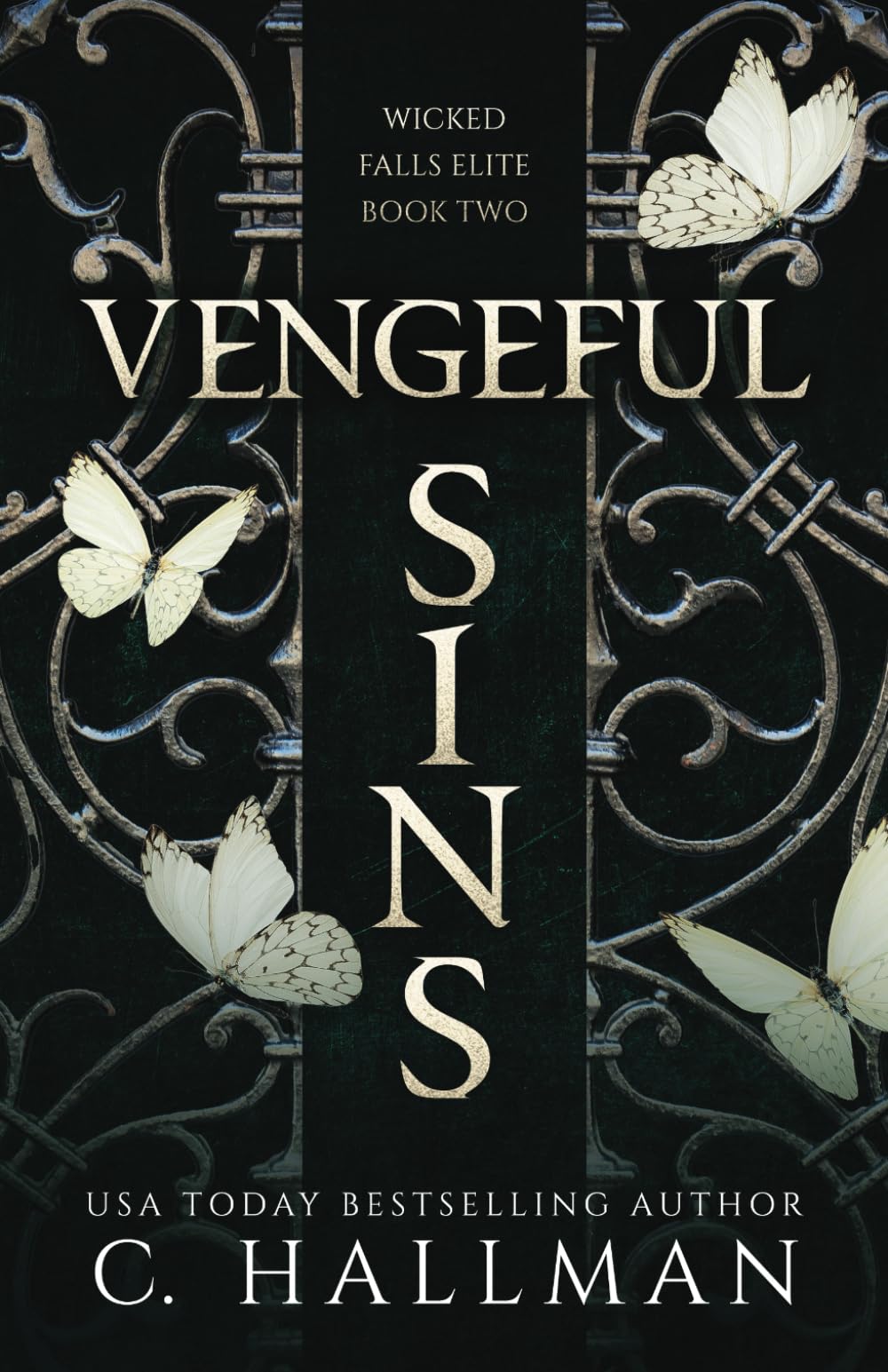 Vengeful Sins: A Dark Bully Romance (Wicked Falls Elite)