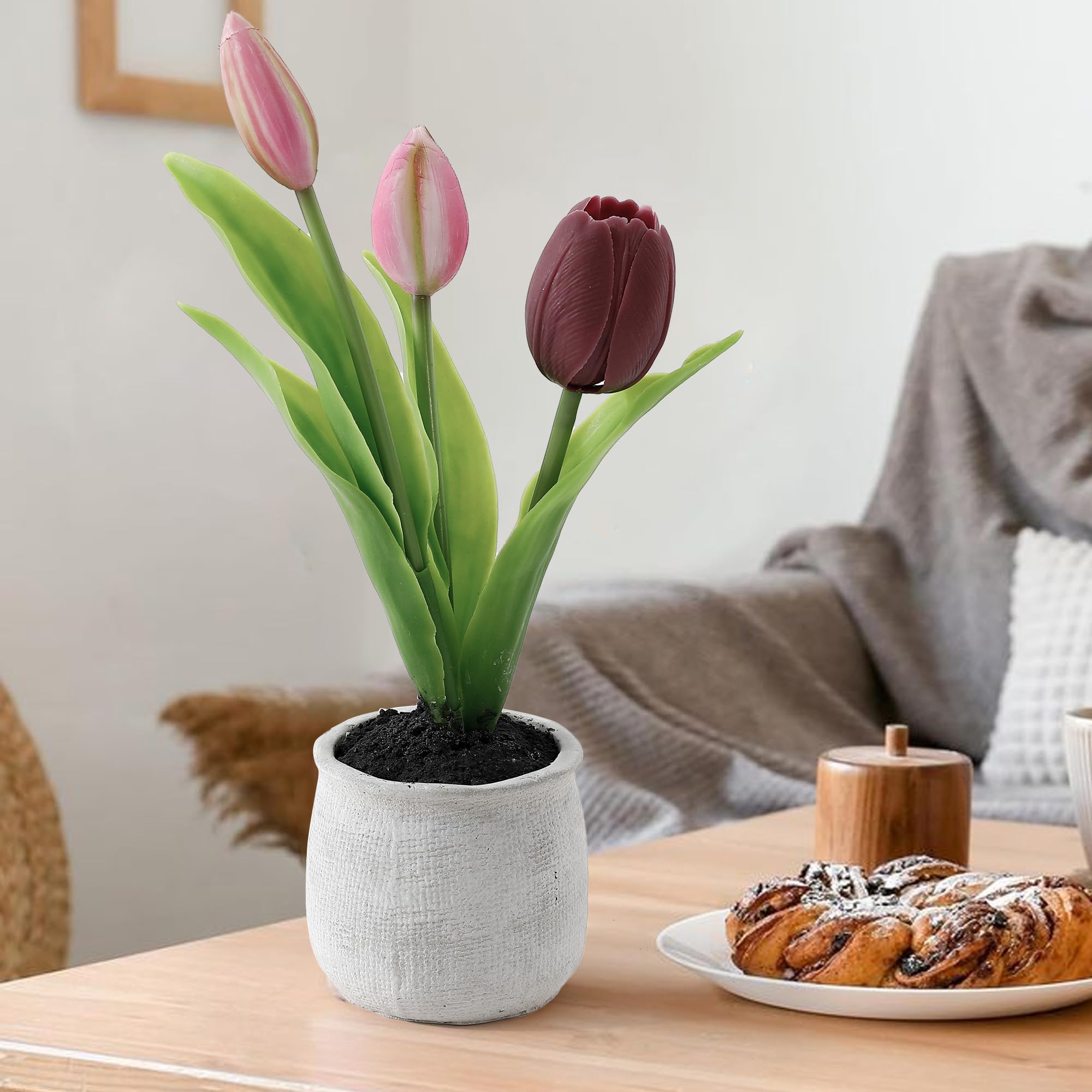 The Better Home Artificial Plants for Home Décor(27cm-Tulips) Artificial Plants with Pot|Artificial Plants for Decoration|Home Décor Items for Living Room|Diwali Decoration Items Diwali Gifts (B0DFY9SMXT) Amazon Price History, Amazon Price Tracker