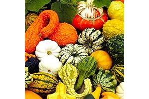 Fall Festivities in Every Garden: Decorative Pumpkin Seed Mix