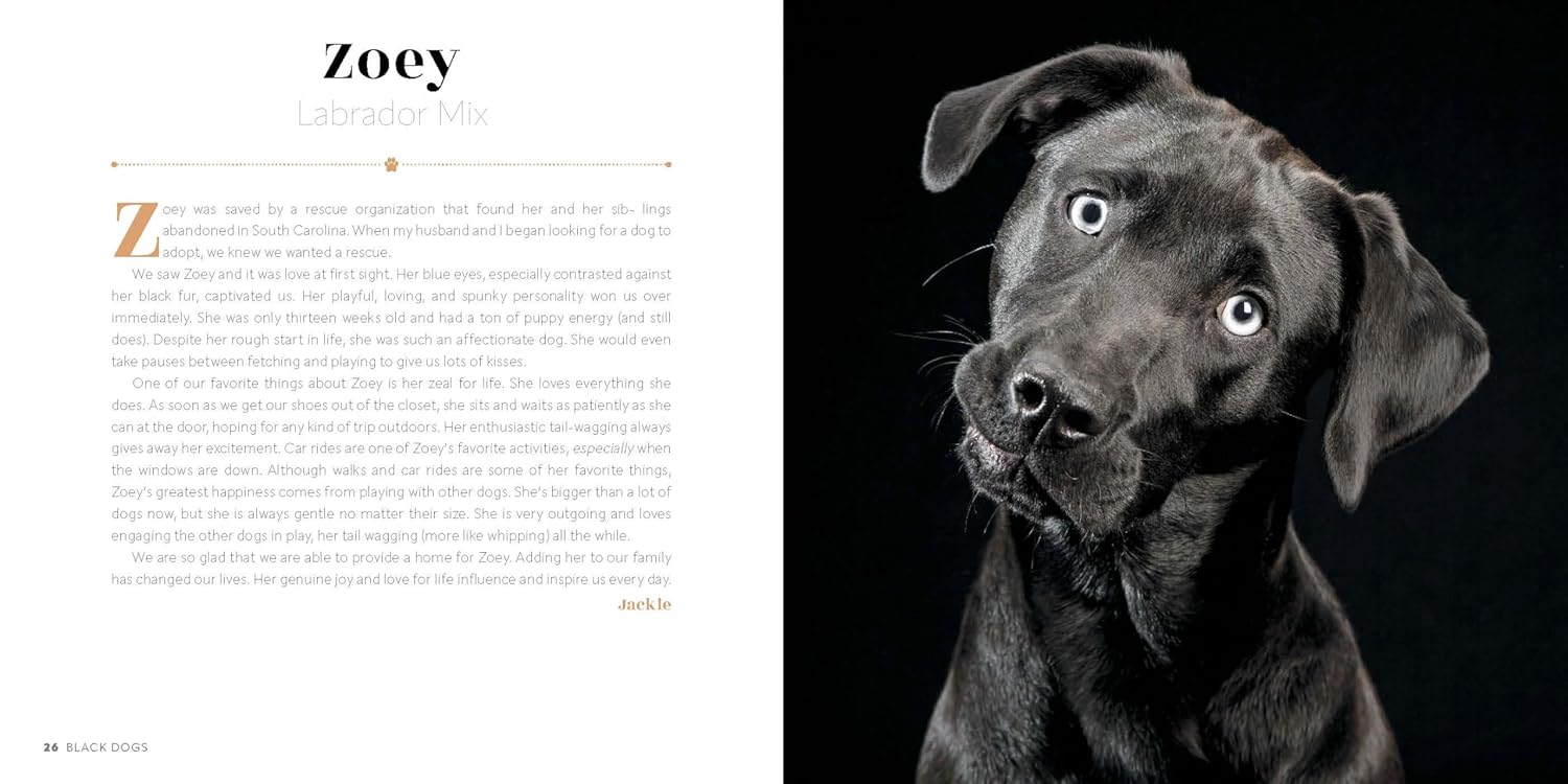 Black Dogs: Stories of Love and Friendship - Image 4