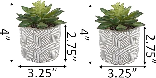Miniatura 7 de Flora Bunda Juego de 2 plantas artificiales de mediados de siglo, suculentas artificiales en maceta de cemento de 3 pulgadas, maceta gris, 2 plantas