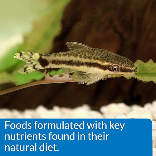 Miniatura 4 de API PELLETS DE ALIMENTADOR INFERIOR CON CAMARONES PESCADO Contenedor de 1.3 onzas