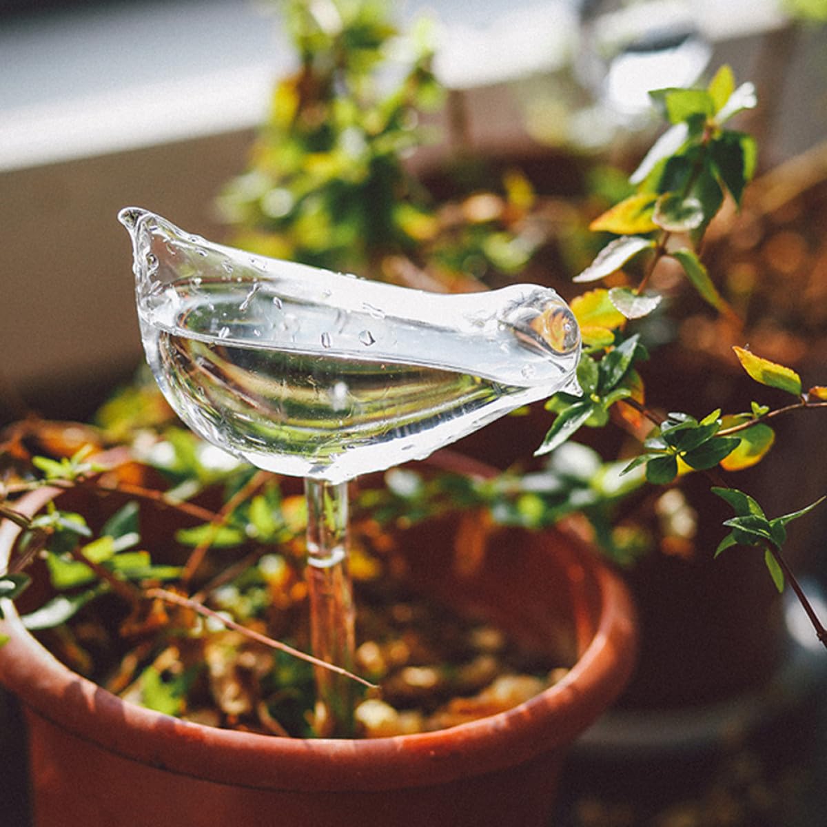 Hemobllo Globes D'arrosage Automatique en Verre Borosilicaté pour Plantes, 4 Pièces, Système D'arrosage Automatique pour Intérieur et Extérieur Lors de Voyages ou Festivals