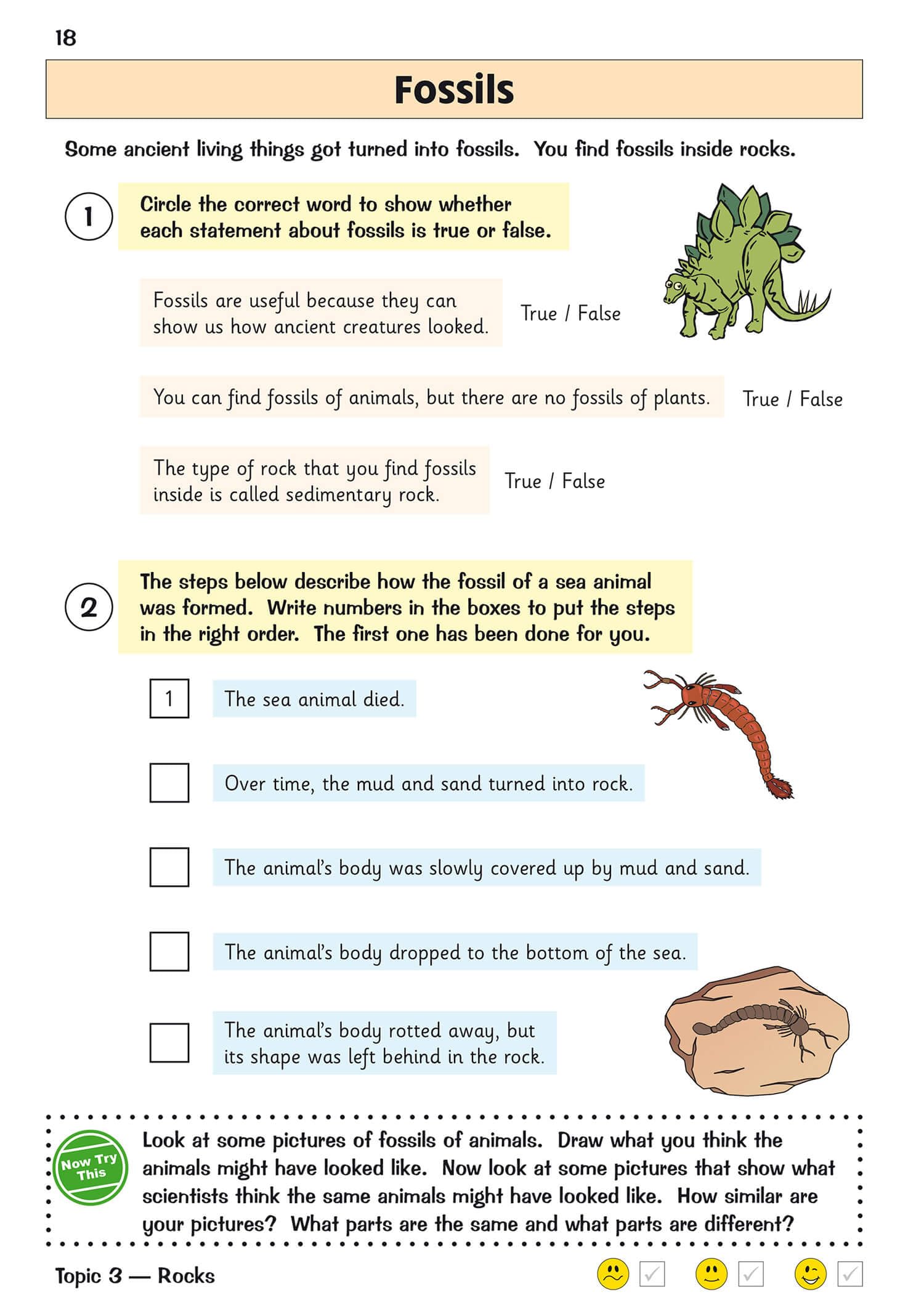 New KS2 Science Year 3 Targeted Question Book (includes answers) (CGP KS2 Science) - Image 6