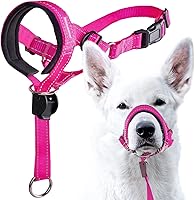 Vista 15 de GoodBoy - Cabestro con correa de seguridad para cabeza de perro, evita que se tiren de la correa, con acolchado para tamaños pequeños, medianos