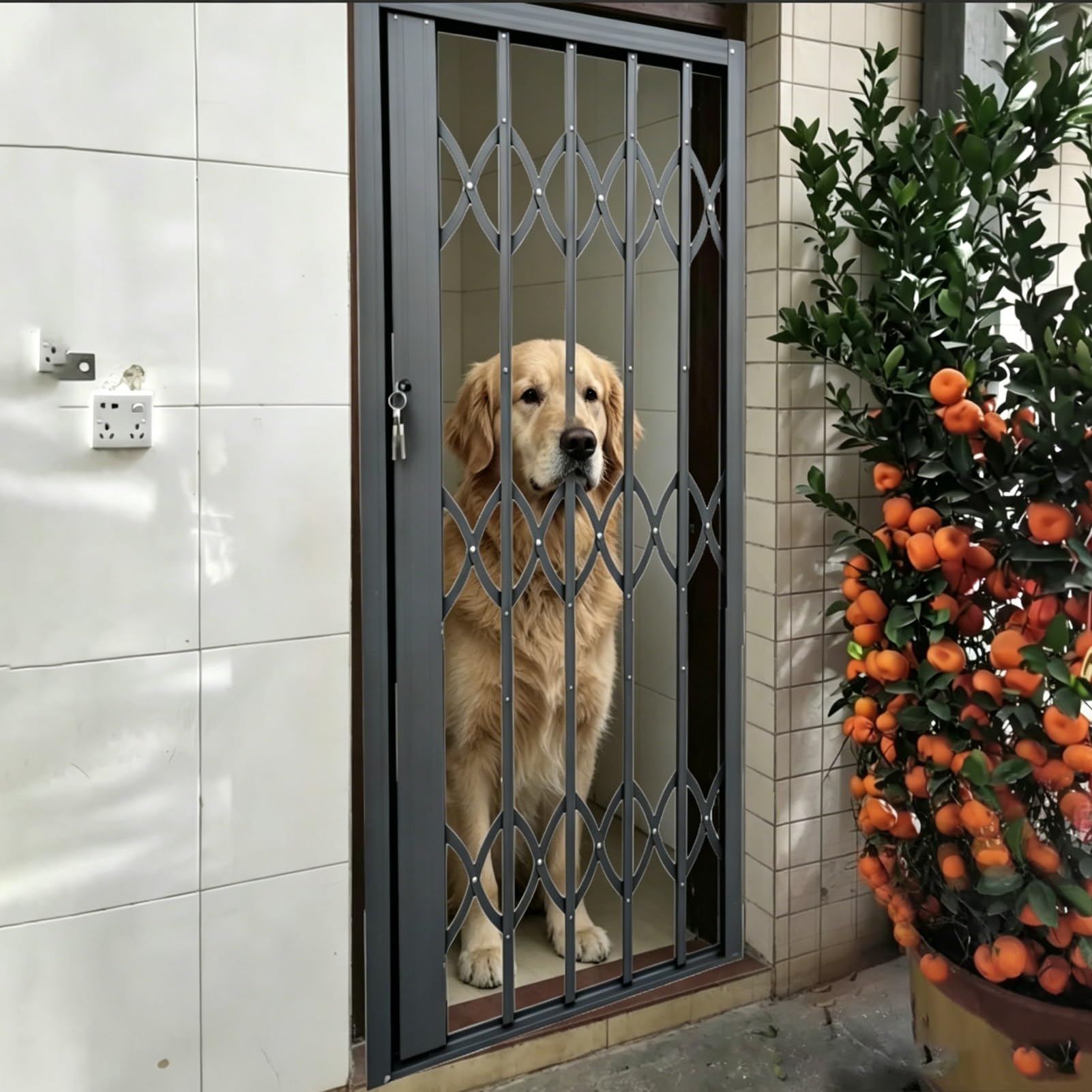 Minglez Lockable Window Guards Gates for Cats/Dogs, Basement Window Theft Prevent Security Bars with Key Locks, Folding Sliding Windows Gate for Patio(35x79in/90x200cm)