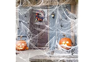 Seasons Spider Web Halloween Decoration. Cobweb with Spiders for Halloween