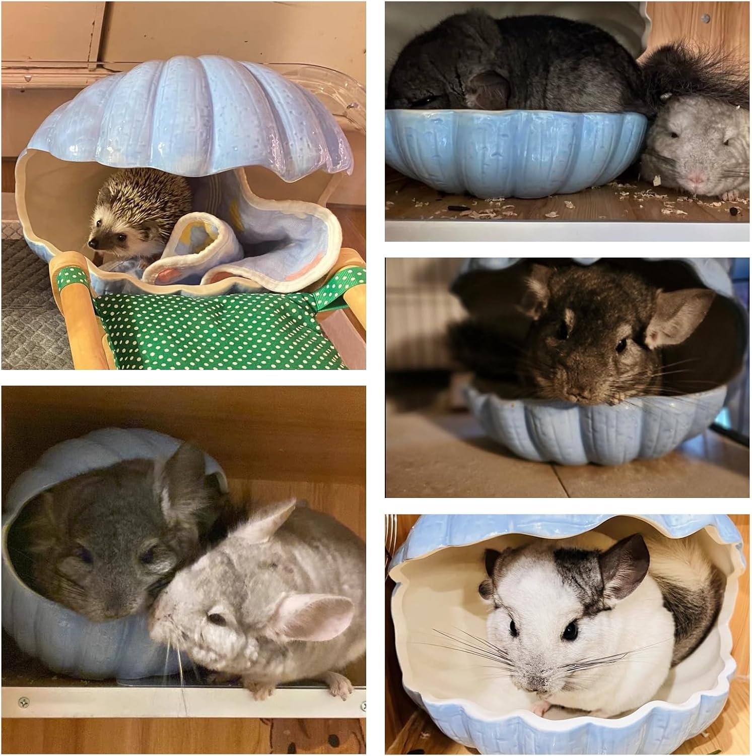 Small Animal Hideout Ceramic - Extra Large Ceramic Shell Shape Guinea Pig House Habitat Hut Cave Cool Porcelain Cage Ideal for Summer Hedgehog Hamster Gerbil Golden Bear (Blue, XL (9.5''x7''x7.9''))