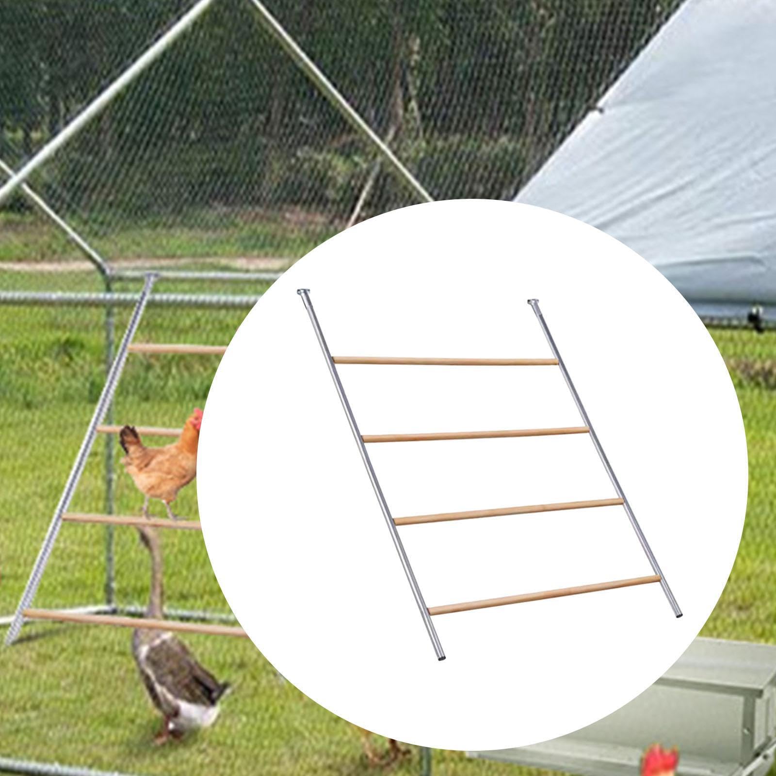 Percha para gallinas Resistente y Estable para gallineros de | exterior, diseñada para la actividad y el ocio en la avicultura. Juguete para gallinas,