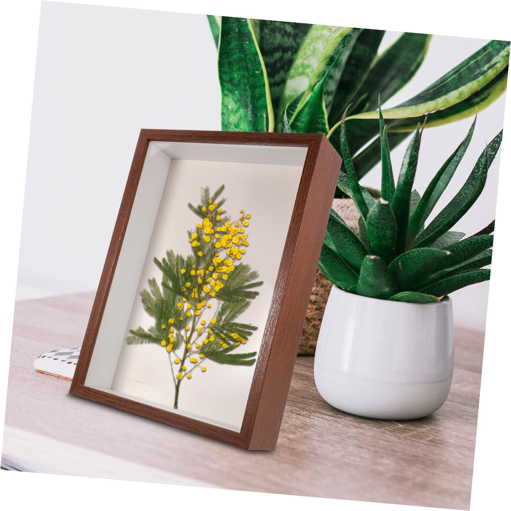 Ciieeo Cornice Galleggiante in Legno per Fiori Secchi A3 5 Cm Cornice Fai da Te per Esposizione di Piante Secche e Foto Decorativa per Soggiorno e Camera da Letto